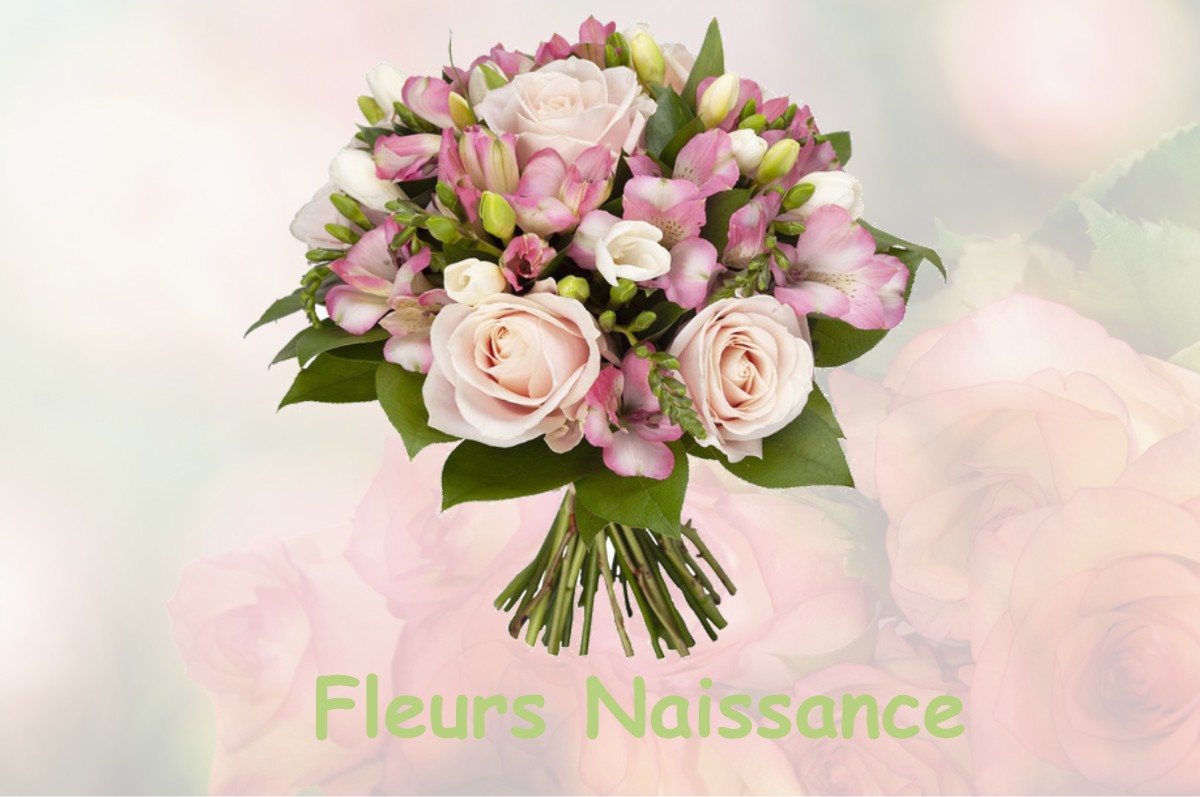 fleurs naissance MANCHECOURT